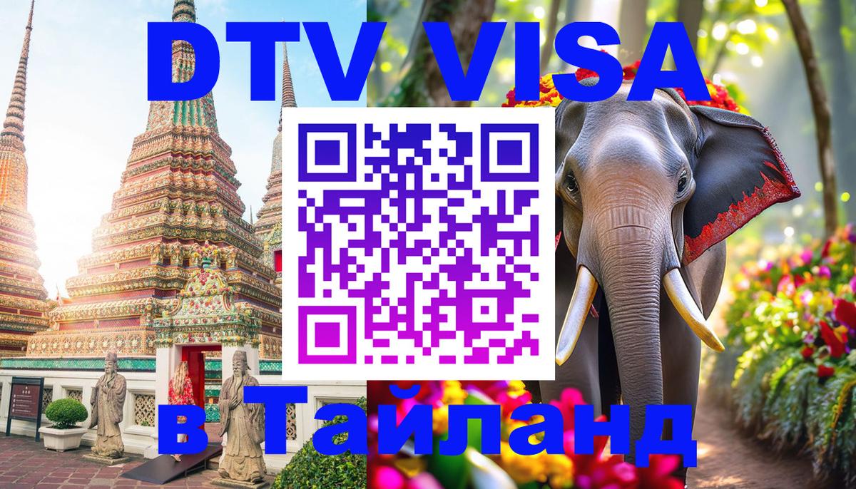 Сколько стоит DTV виза — актуальные цены, оформление даже без документов - Краснодар  05.12.2025 